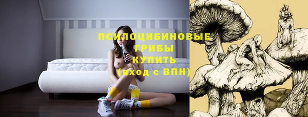 spice Нея